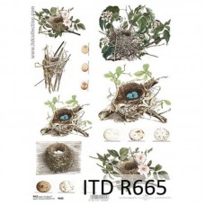 Ριζόχαρτο ITD 21X29.7cm_R665